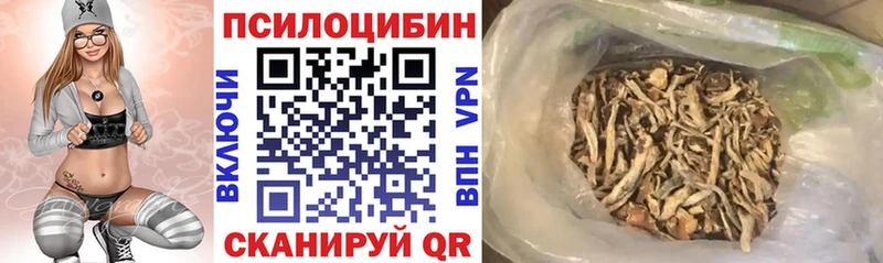 Галлюциногенные грибы Magic Shrooms  Черкесск 